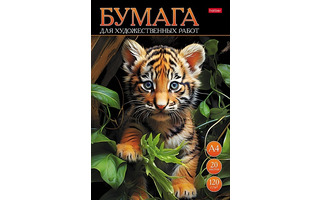 Папка для рисования А4 20л "Тигренок" 120г/м² 20Бр4тВ_30727 085648 Хатбер