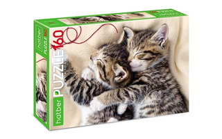 Пазлы Хатбер  160эл "Мяу-котики" 160ПЗ4_30257 086578