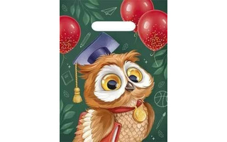 Пакет   22*29 "Ученая сова" с вырубкой ПЭ малый код 081 56,019,00