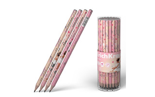 Карандаш ч\гр "Erich Krause.Pointes НВ" круглый 60731