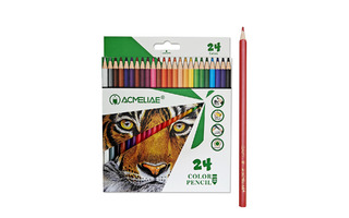 Карандаши 24 цв "ACMELIAE" пластик PCP-024
