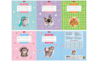 Тетрадь 12л "Котики бывают разными" клетка 12Т5В1 086069 Хатбер