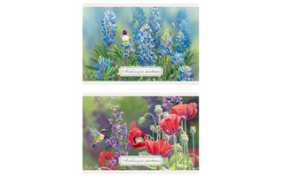 Альбом для рисования 20л "Wild Wings" склейка выб. лак WW191/2 АкХолд