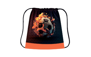 Мешок для обуви СДС-3 "Огненные игры" 420*340мм