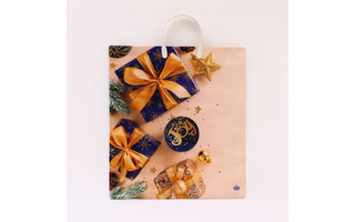 Пакет  40*44 "Тико.НГ.Бежевое настроение" 100мкм с пластиковой ручкой 1268