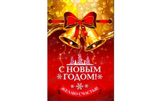 Пакет металлизированный НГ 20*35 "Перезвон"