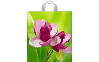 Пакет 40*44 "Малина.Цветок" 75мкм с петл.ручкой (цена за уп 50шт) 8627 Цена 1шт 20,25