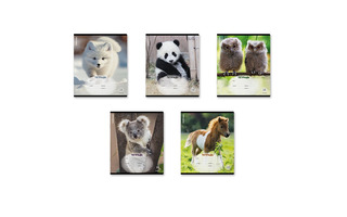 Тетрадь 18л "Пушистики" линия 59976 ErichKrause