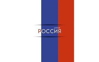Дневник школьный 1-11 кл обложка твердая "Дневник российского школьника.Триколор" С2677-61 Апплика
