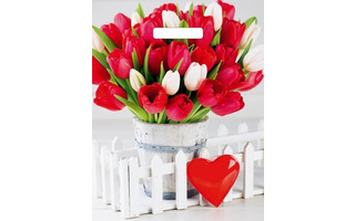 Пакет   31*40 "Глянцевый.Белиция" 60мкм с вырубкой (цена за уп 50шт) 2714 Цена 1шт 13,37