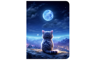 Тетрадь А5 120л на кольцах "Лунный кот" пластик.обл 14810 АкХолд