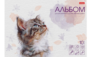 Альбом для художест. работ 10л "Любопытный носик" А4 220г/кв.м склейка 10А4лтAк_33330 Хатбер