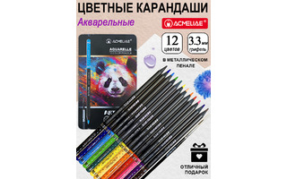 Карандаши 12 цв "ACMELIAE.Blackwood Artmate" акварельные с кистью металл.футляр ART-AQ12