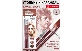 Карандаши угольные  3 шт "ACMELIAE" жженая сиена TCP-02