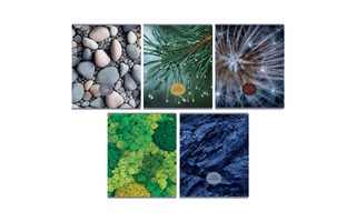 Тетрадь 48 л "Детали природы" клетка эконом Т5ск48 62707 BG