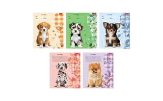 Тетрадь 24л "Милые носики" линия 24Т5В2 091484 Хатбер