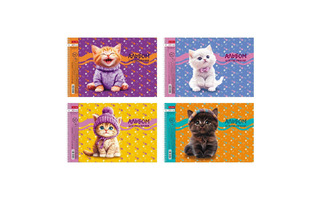 Альбом для рисования 40л "Мы котики" спираль 40А4Всп 091537 Хатбер