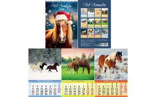 Календарь на пружине "Символ года.Год лошади.Вид 3" 170*250 Атберг 1026014