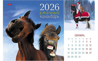 Календарь на скрепке  12л "Ржачный Год Лошади" 30*30 12Кнп4_34666 091912 Хатбер