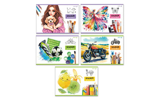 Альбом для рисования 24л "Нарисуй мечту" выб лак А255 01702 Светоч