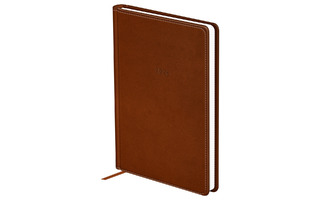 Ежедневник А5  352стр "Winner.Brown" кожзам коричневый датир 2026 DdА5_09349 BG