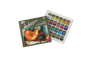 Краски худ акв 24 цв "Студия" 215001 кюветы Гамма