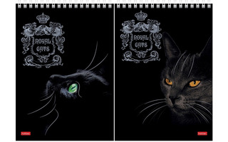 Блокнот А5   80л "Royal Cats" 3Dфольга спираль 80Б5лофВ1гр 066435 Хатбер
