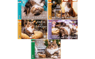 Альбом для рисования 24л "Кот Борис" спираль 24А4лВсп 079771 Хатбер