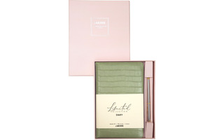 Ежедневник А5  272стр "deVENTE.Barbara"+ручка н/датир кожзам мятный 2237620 в кор.