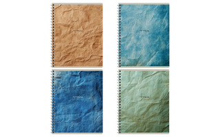 Тетрадь 96 л "Оттенки бумаги" клетка гребень Т5гр96_лм 08563 BG