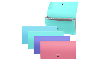Папка с кнопкой 13 отд "ErichKrause.Diagonal Pastel" 260х138мм ассорти 61213