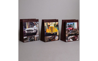 Сумка ламинированная 26*32 "Мужская.Капоты" ассорти Ч44932