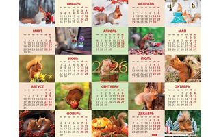 Календарь листовой А2 2026 г "Пушистые белочки" мелов.бум. Кл2_33726 092211  Хатбер