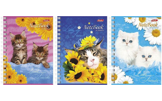 Записная книжка А6   80л  "Милые котята" на гребне 80ЗК6В1гр 030957 Хатбер