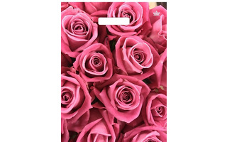 Пакет   31*40 "Триумф.Джейми" 60мкм с вырубкой (цена за уп 50шт)