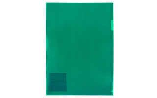Папка уголок А4 "Expert C.Premier" зеленая 180мкм EC21030003