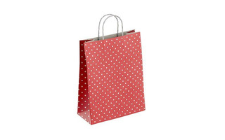 Пакет подарочный крафт 22*25 "Горох на красном" 100г/м2 112979 ПЗБМ