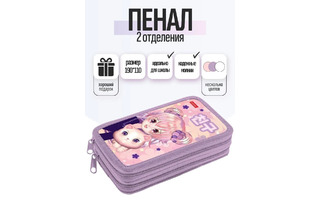 Пенал 2 отд "Аниме с котиком" 190*110 NPn_47076 Hatber