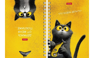 Записная книжка А6  80л "Пушистый философ" двойная тв.обл гребень 80ЗКтд6В1гр_35767 096660 Hatber