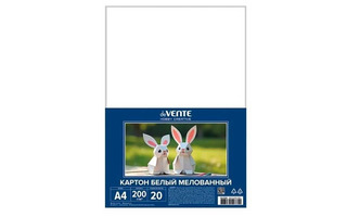 Картон белый А4 20л мелованный 8115503 "deVente.Hobby Creative" 200г/м2 в пакете