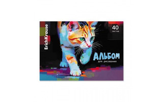 Альбом для рисования 40л "Уличный кот" склейка 58325 ErichKrause