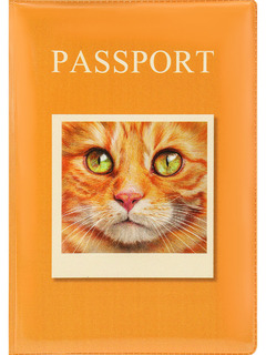 Обложка для паспорта "Рыжий котик" ПВХ ОП-1295